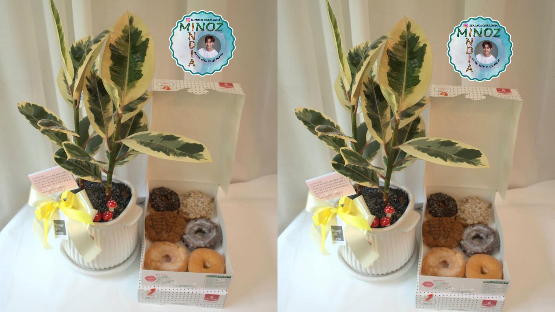 LeeMinHo Lovers India gift him house plants and cream doughnuts for his birthday (Image via LeeMinHo Lovers India)