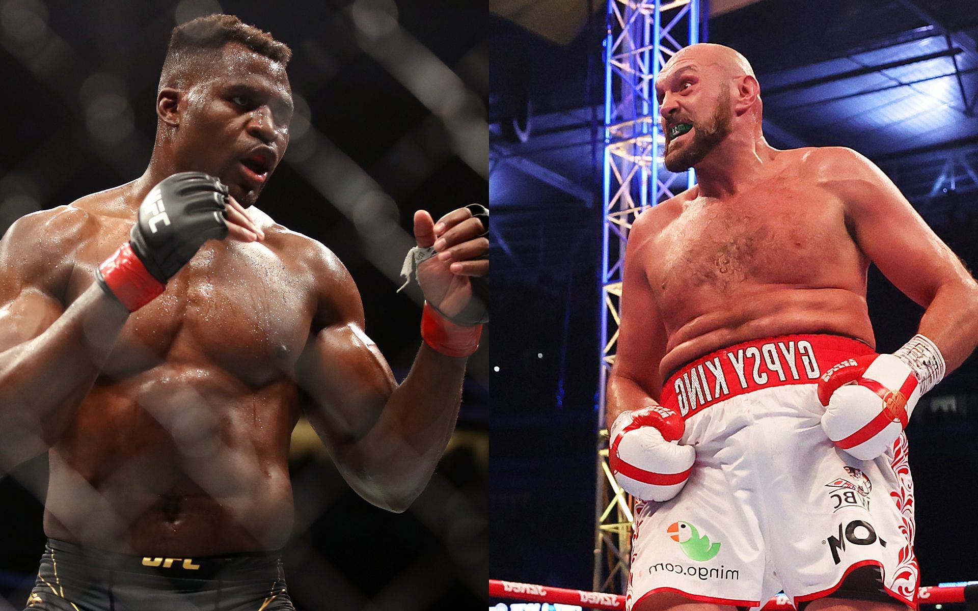 Francis Ngannou (left), Tyson Fury (right)