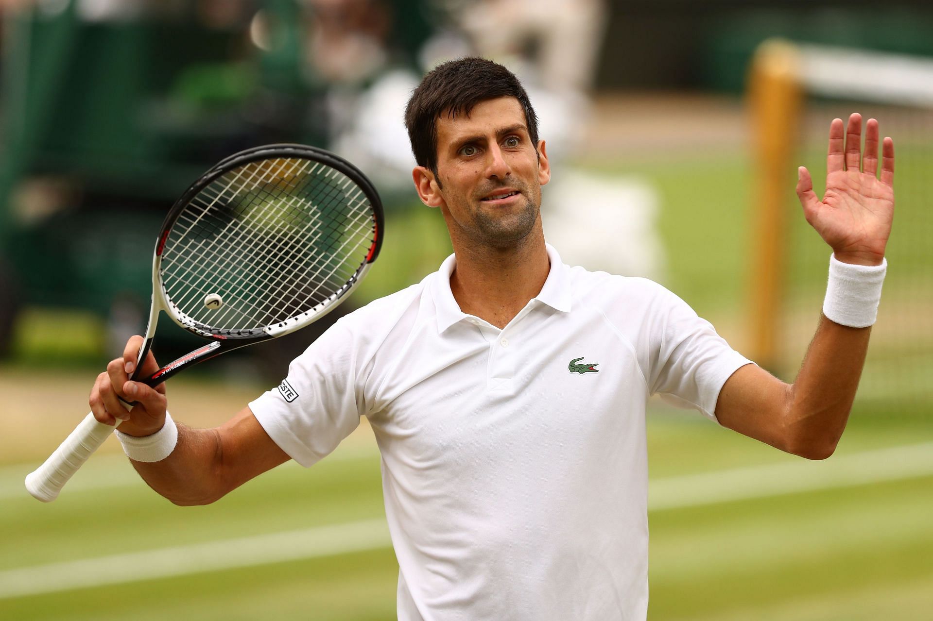 Novak Djokovic will be aiming for a seventh Wimbledon title