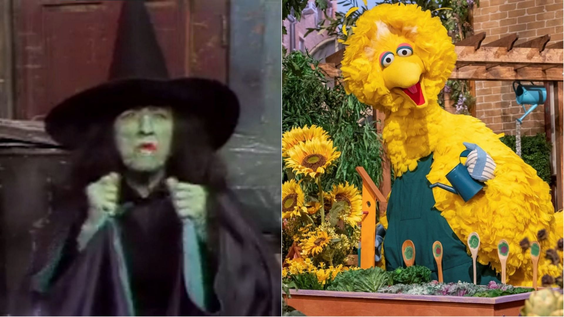 The Wicked WItch episode of Sesame Street was taken off air for being too scary (Image via @sarsaparilla170170/Reddit and @sesamestreet/Instagram)