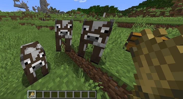 Minecraft Cows Wiki - Behavior, Spawn, Breeding, Trivia, FAQs