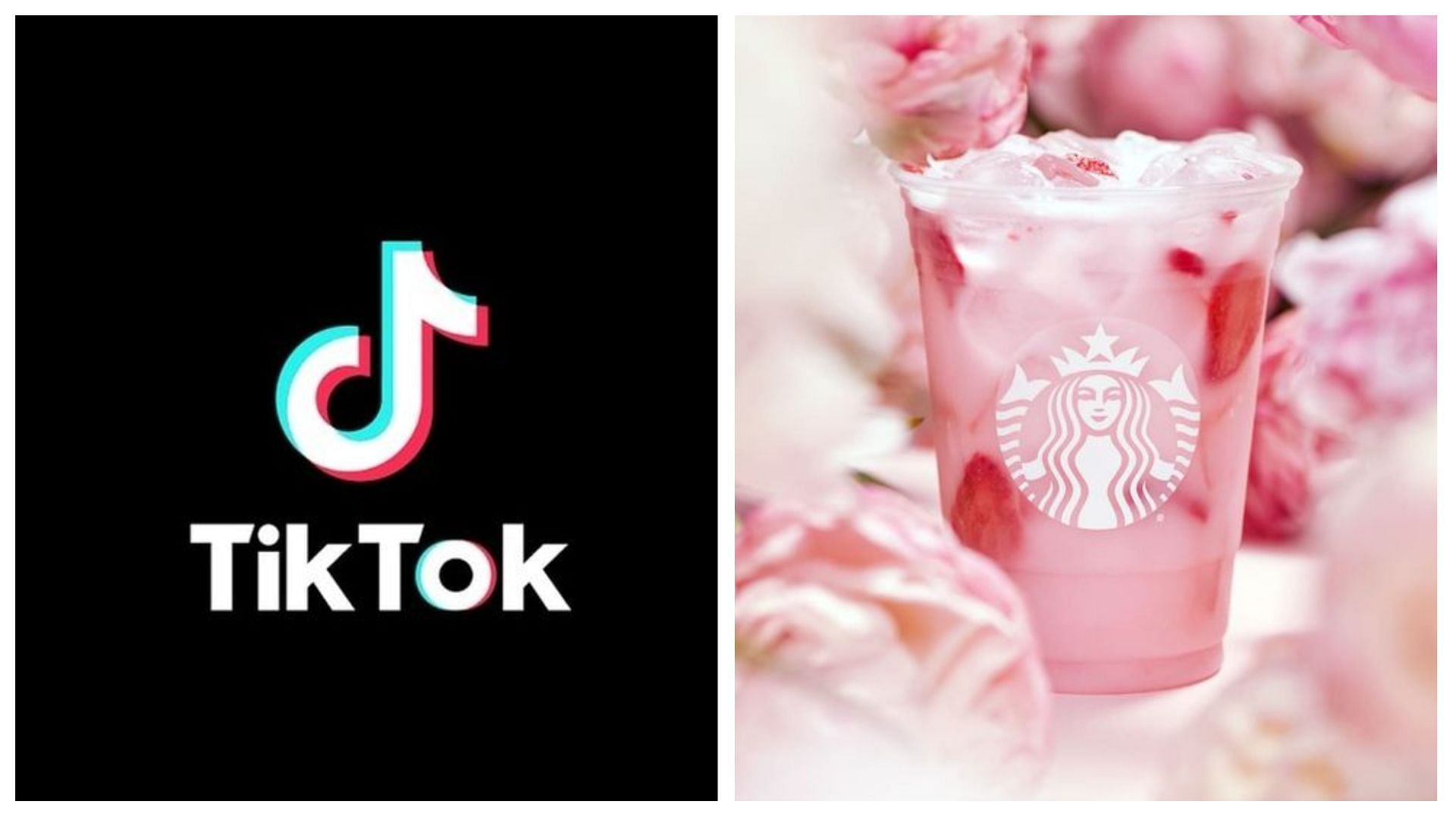 Top 10 TikTok Starbucks drinks you need to try (Image via @TikTok)
