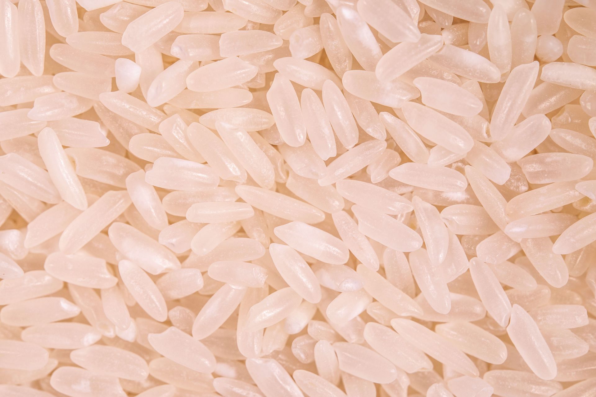rice bran oil health benefits