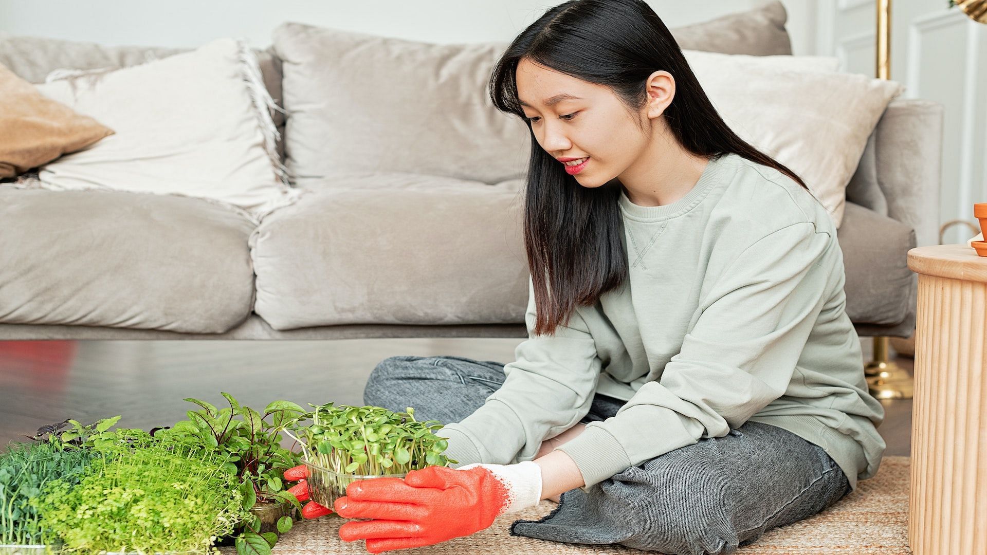 Grow them at home! Image via Pexels/Mikhail Nilov