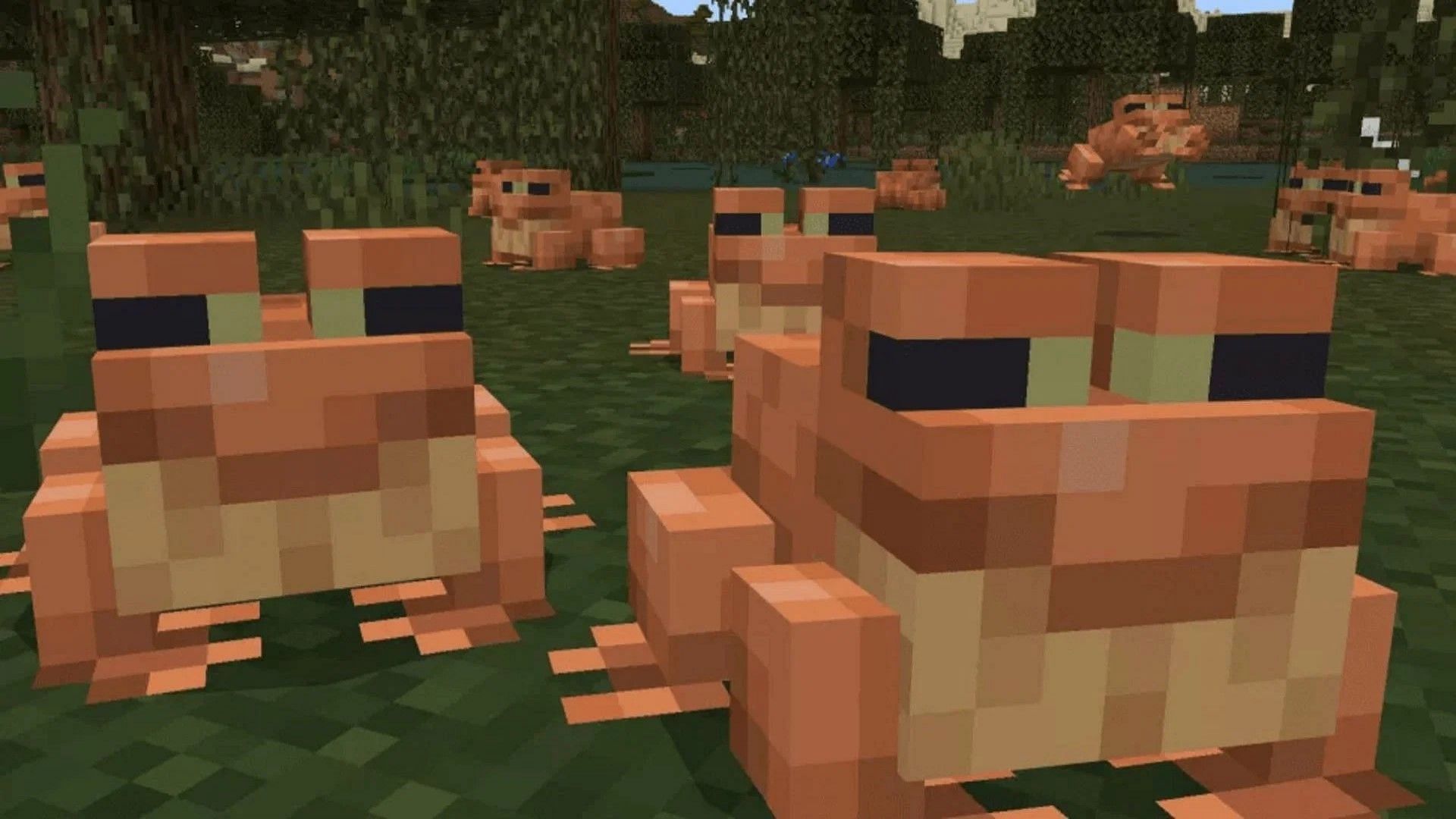 Assorted frogs in Minecraft 1.19 (Image via Mojang)