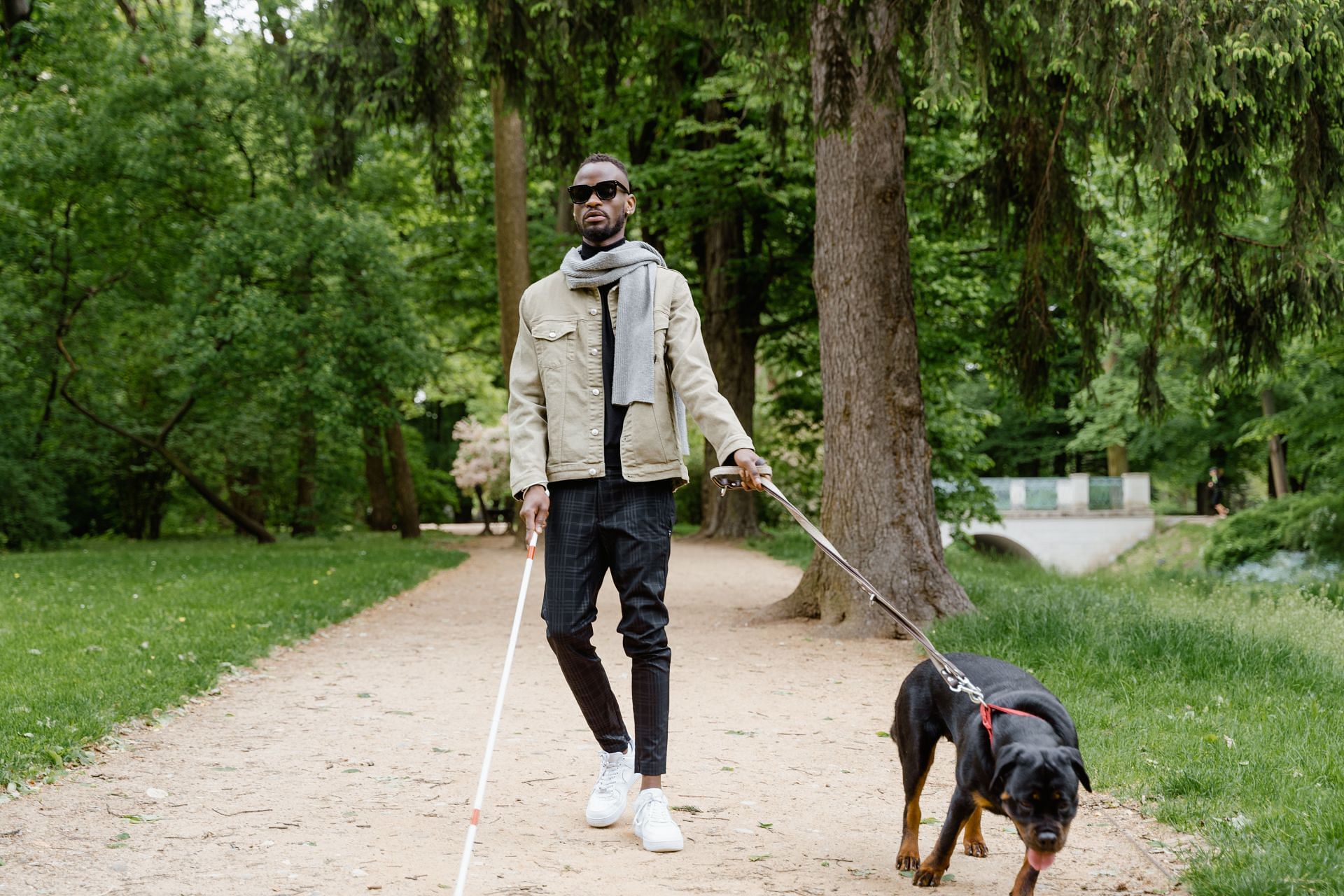 Walking your dog can help you burn 300 calories per hour (Photo by Pexels @MART Production)