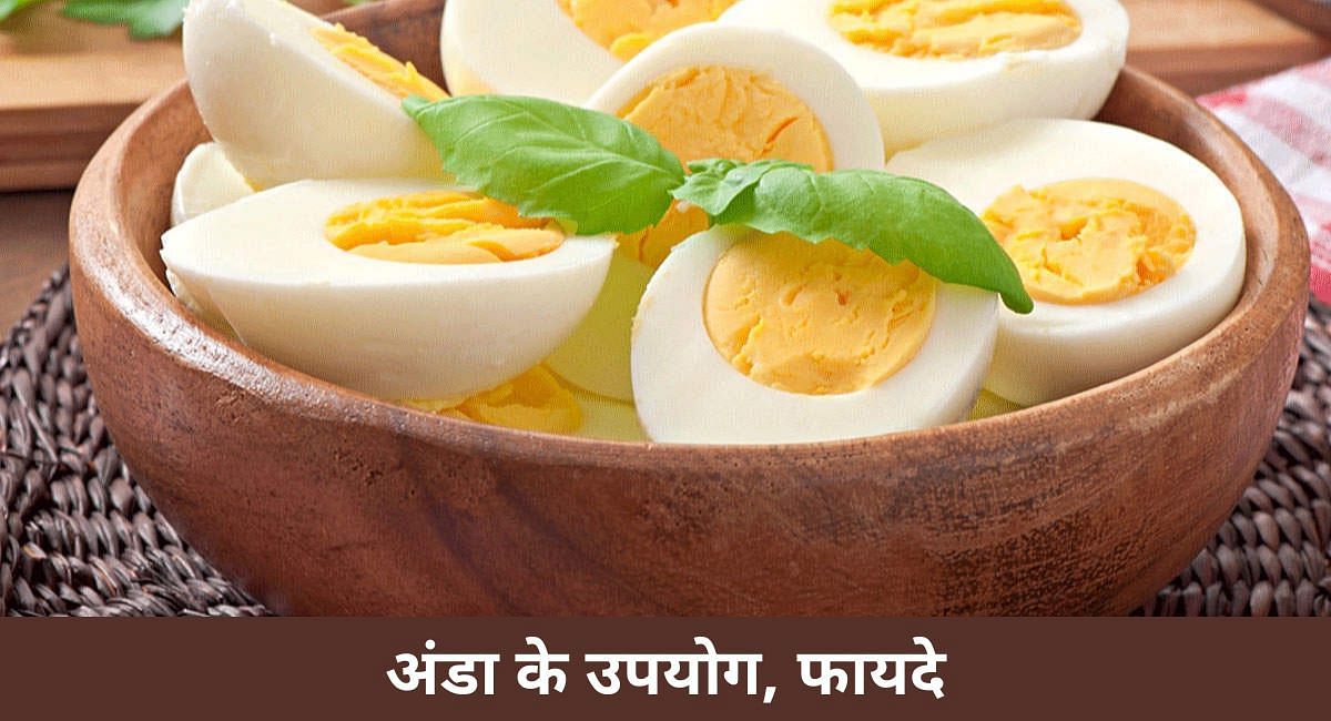 अंडा के उपयोग, फायदे (फोटो-Sportskeeda hindi)