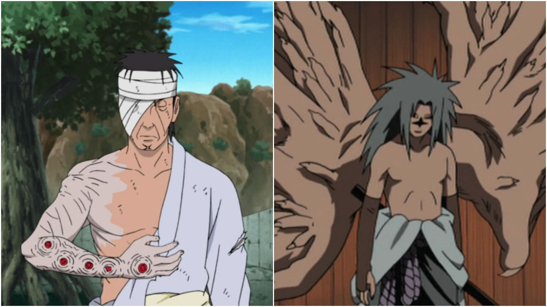 Naruto: 10 Anime Characters Who Could Survive The Forest Of Death