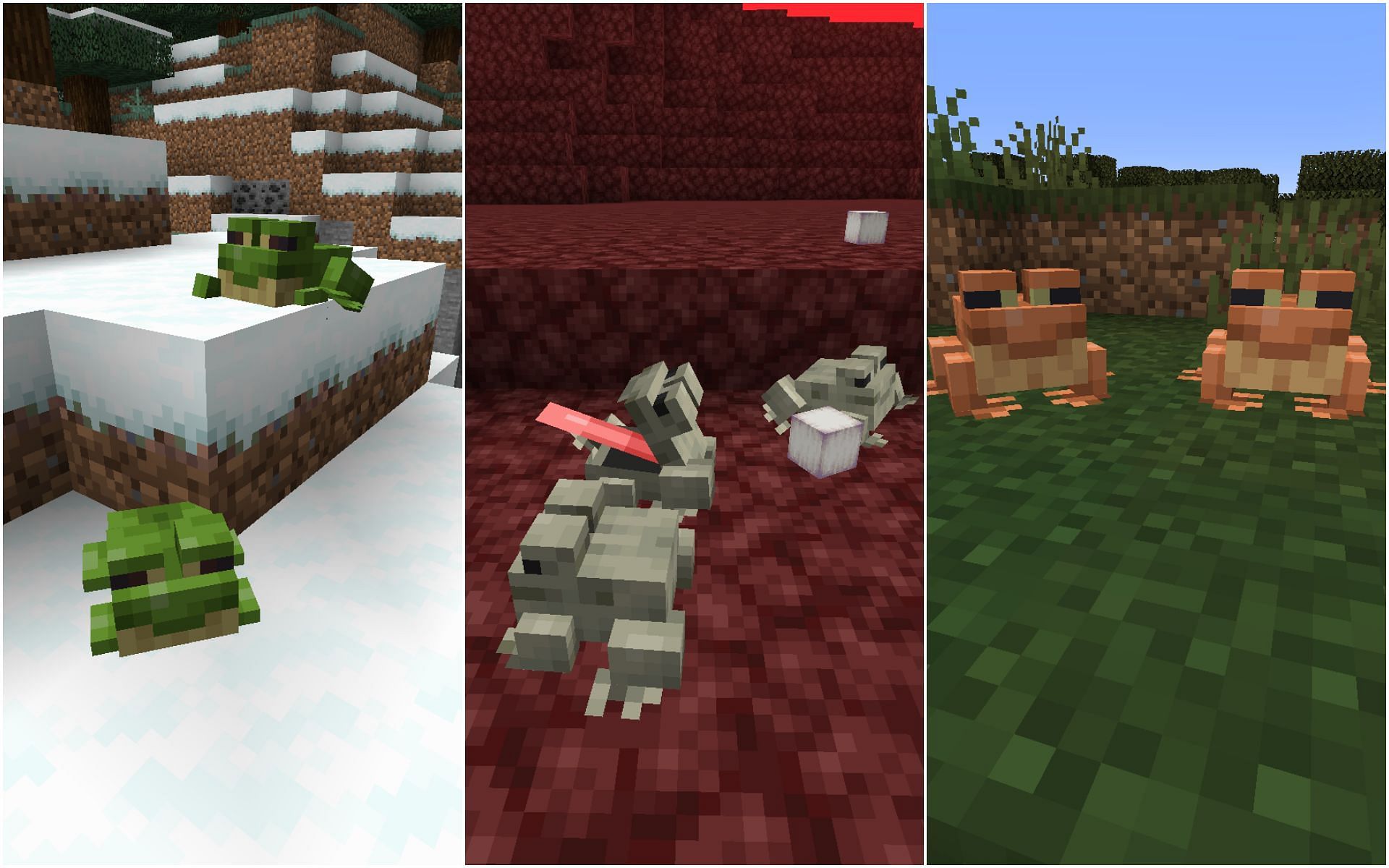 All three types of frogs (Image via Mojang)