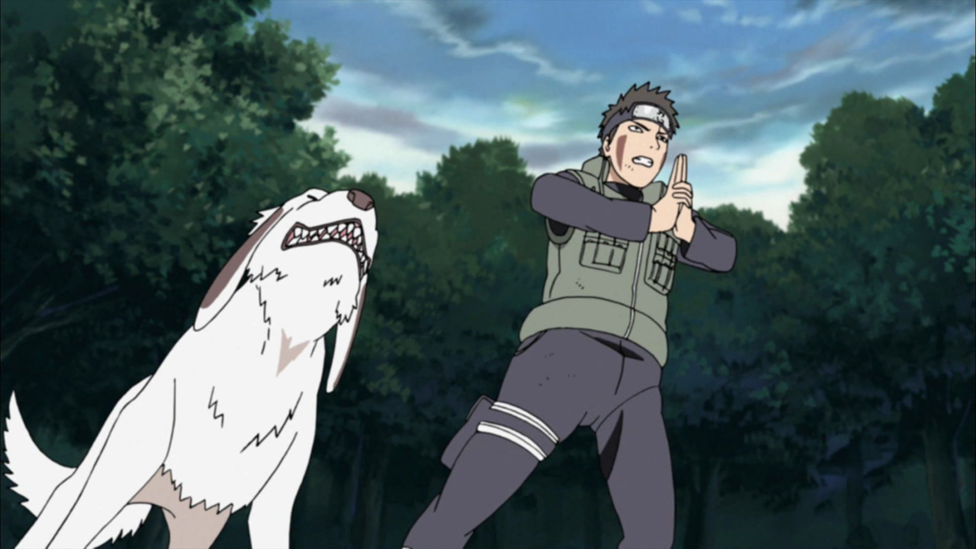 Kiba seen with Akamaru in the anime series (Image Credits: Masashi Kishimoto/Shueisha, Viz Media, Naruto)