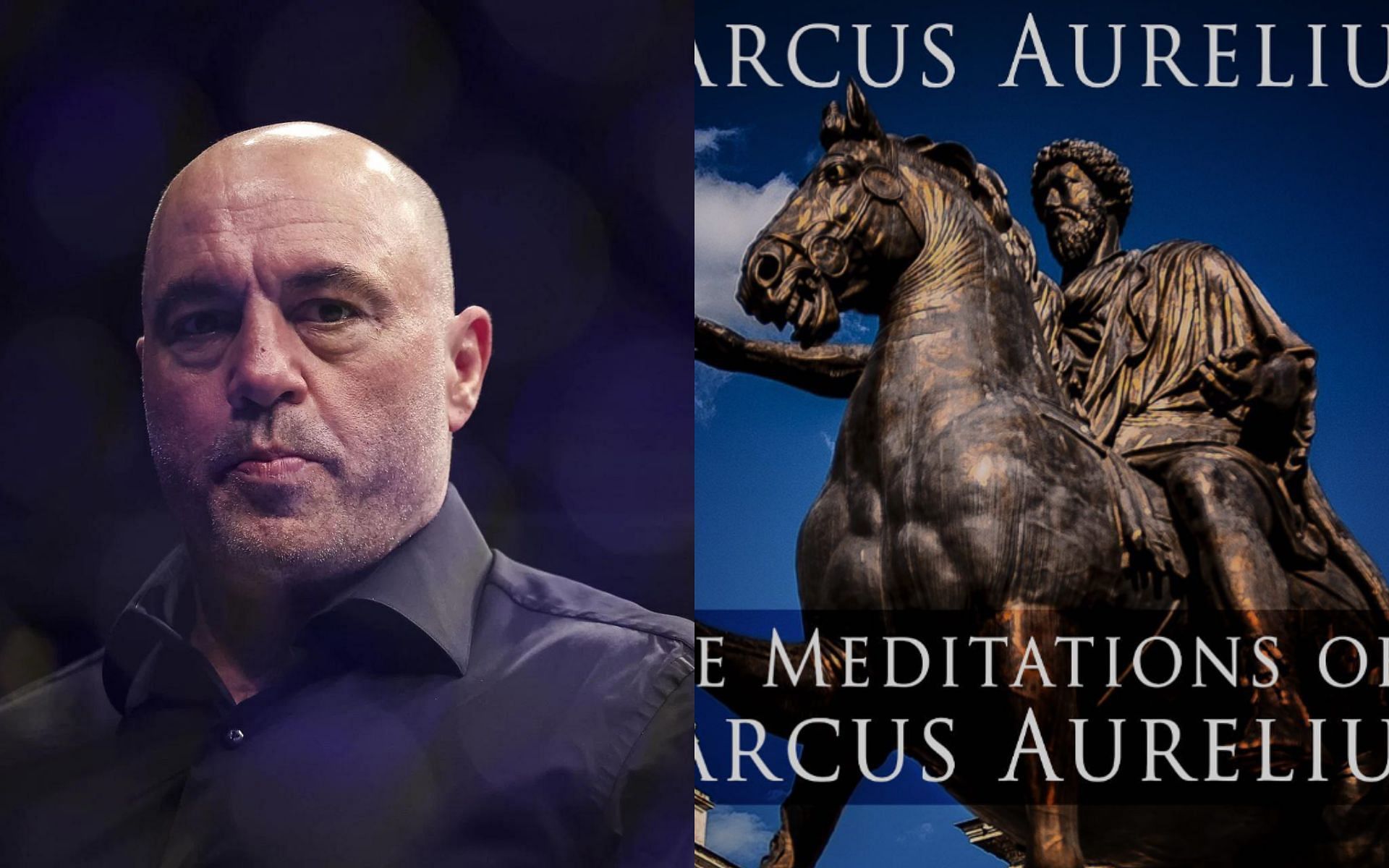 Joe Rogan (left), Marcus Aurelius (right) [Image courtesy of @joerogan on Instagram]