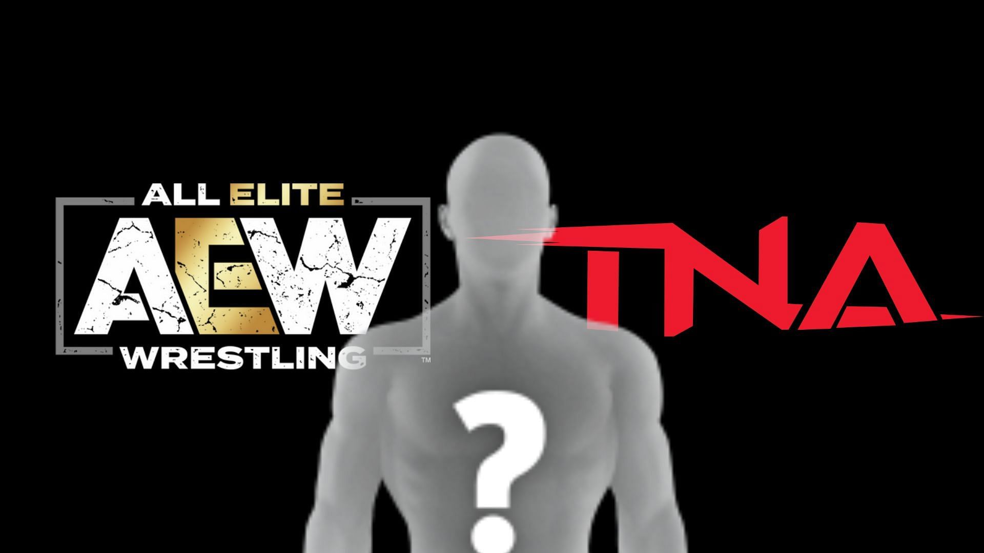 A former TNA star addressed the idea of joining All Elite Wrestling
