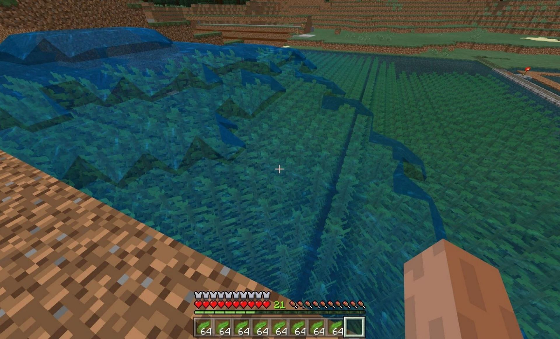 Kelp farm (Image via Minecraft Forum)