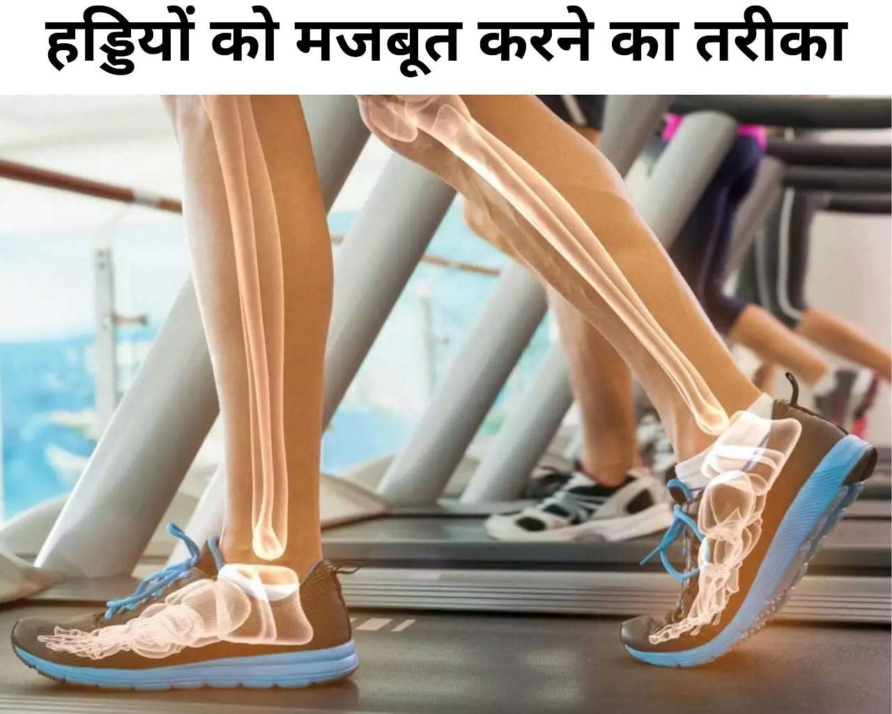 हड्डियों को मजबूत बनाने के लिए डाइट में शामिल करें ये चीजें (फोटो - sportskeeda hindi)