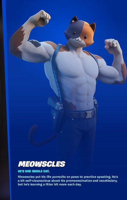 Fortnite Meowscles Skin - Character, PNG, Images - Pro Game Guides
