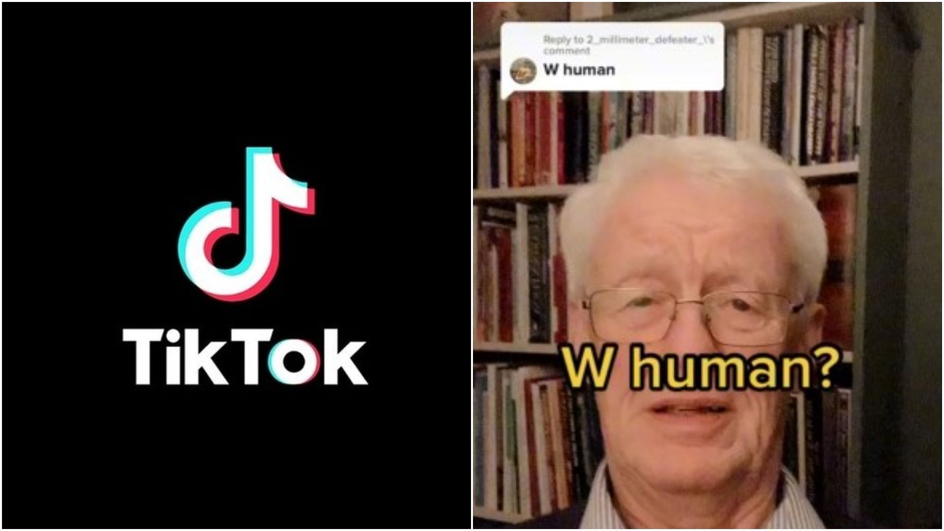 What does W mean on TikTok? (Image via @TikTok/brian..smith)