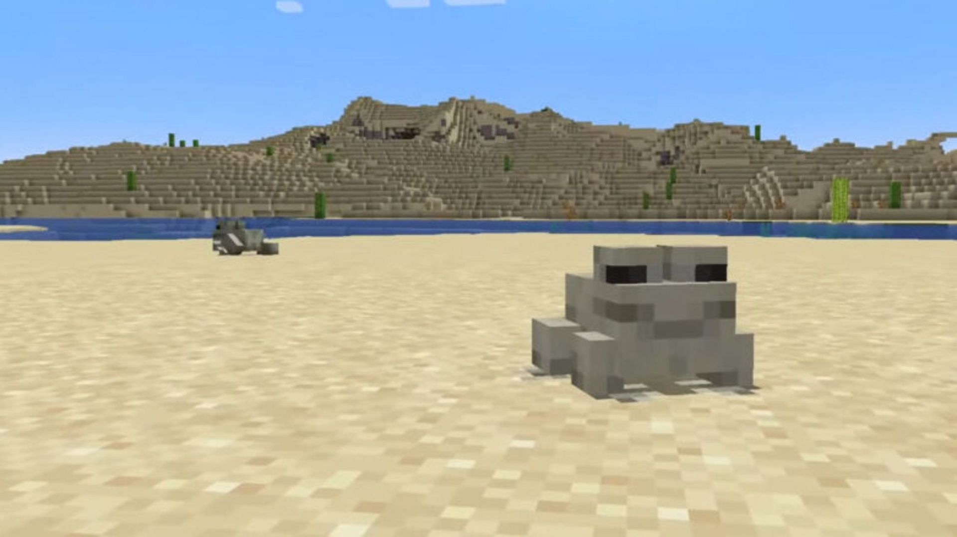 A white frog variant in Minecraft 1.19 (Image via Mojang)