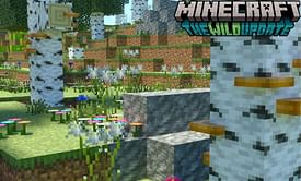 3 reasons why Birch forests and fireflies were removed from Minecraft 1.19