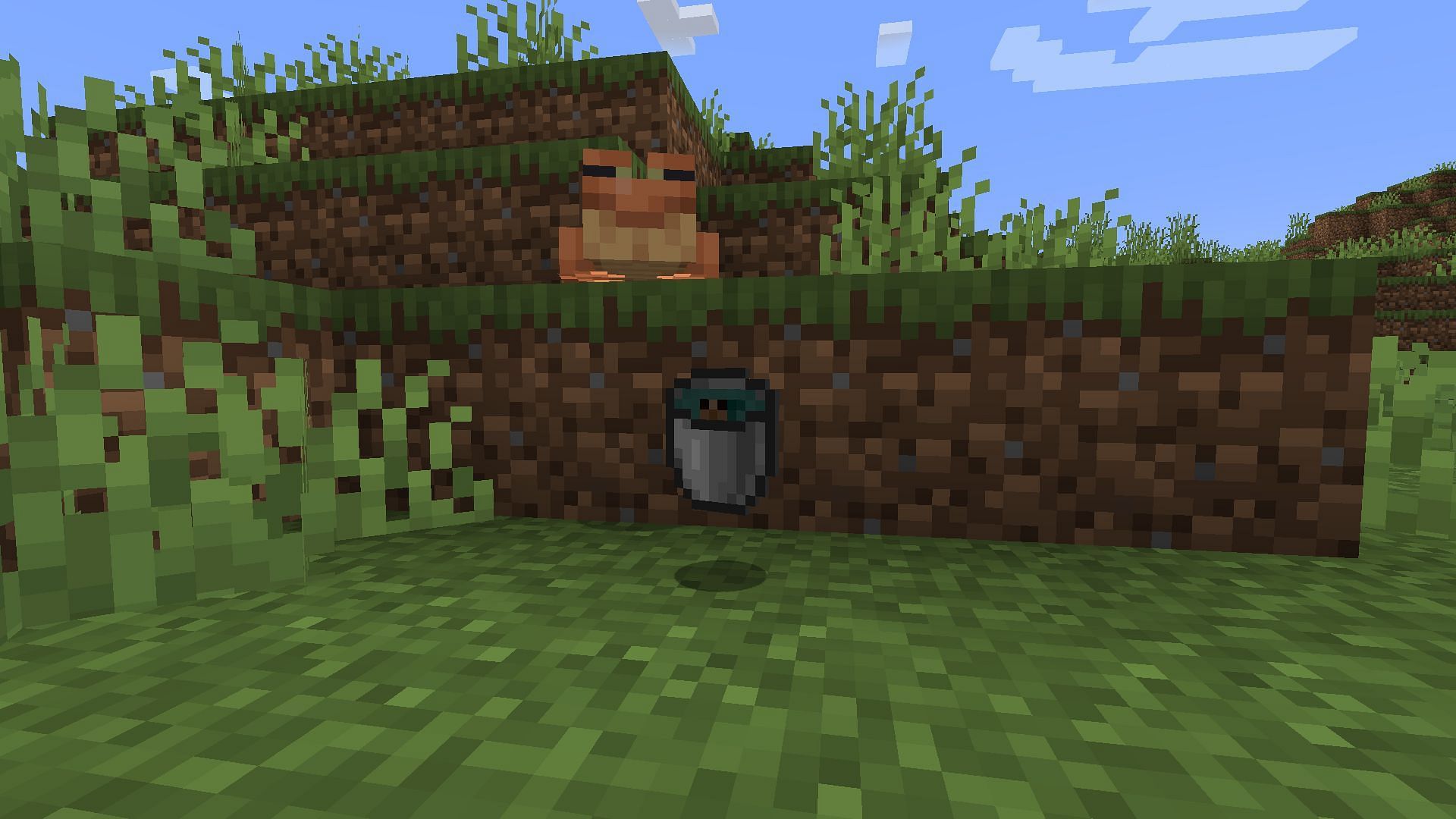 A tadpole in a bucket is the best way to move them large distances (Image via Minecraft)