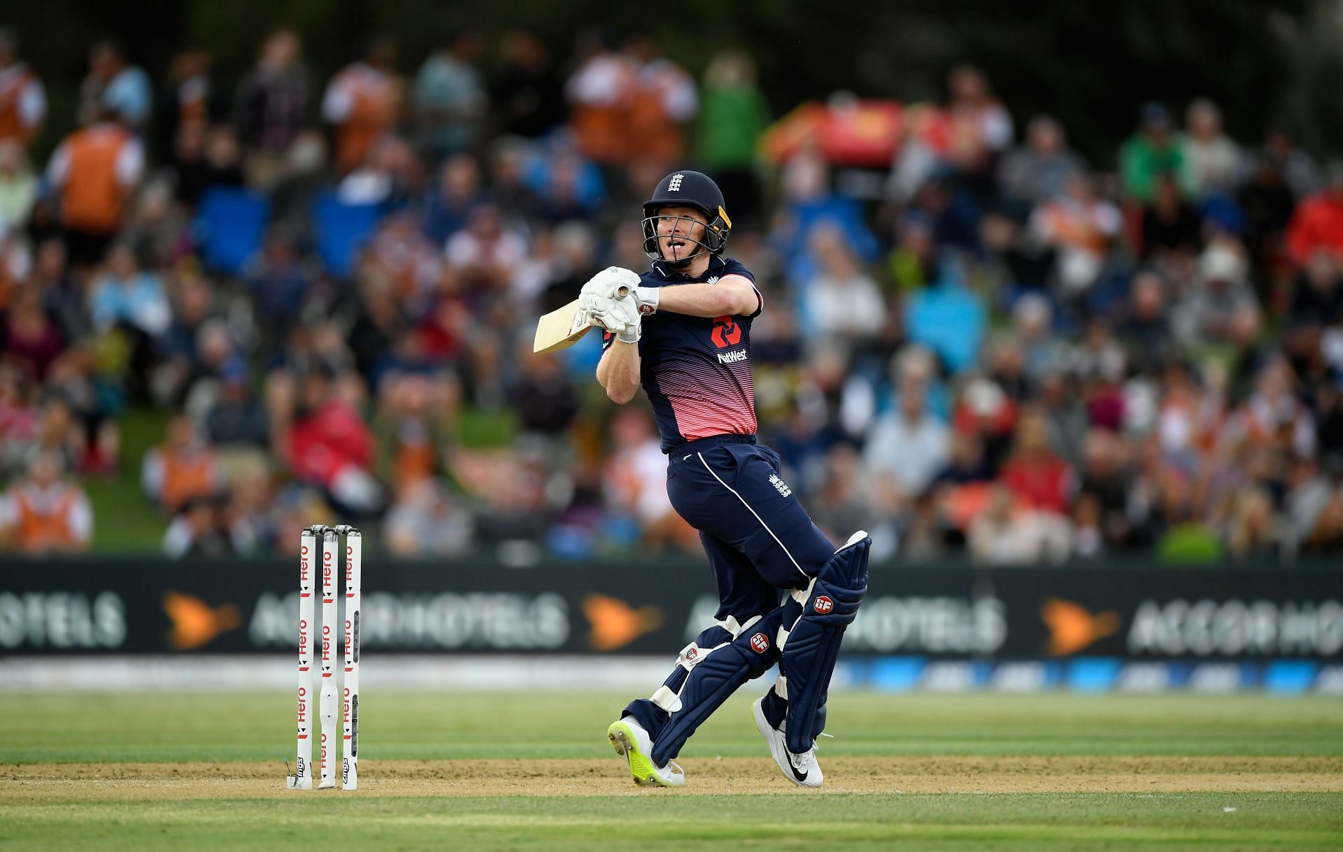 Morgan played an unbelievable knock at Napier, along with Dawid Malan