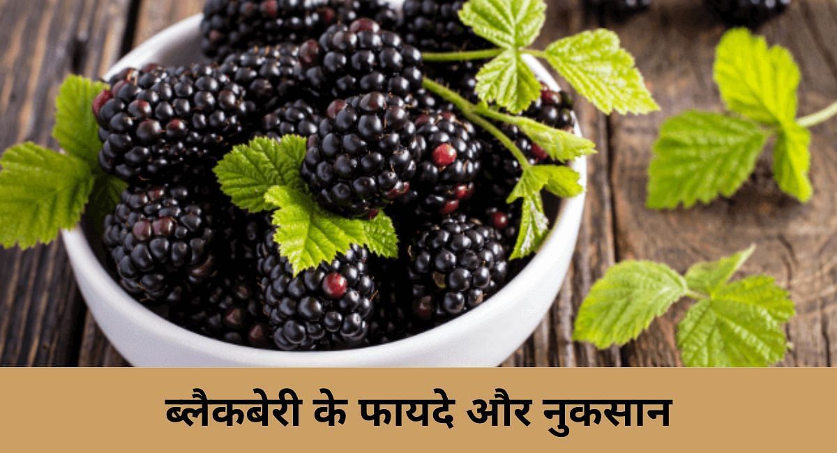 ब्लैकबेरी के फायदे और नुकसान(फोटो-Sportskeeda hindi)