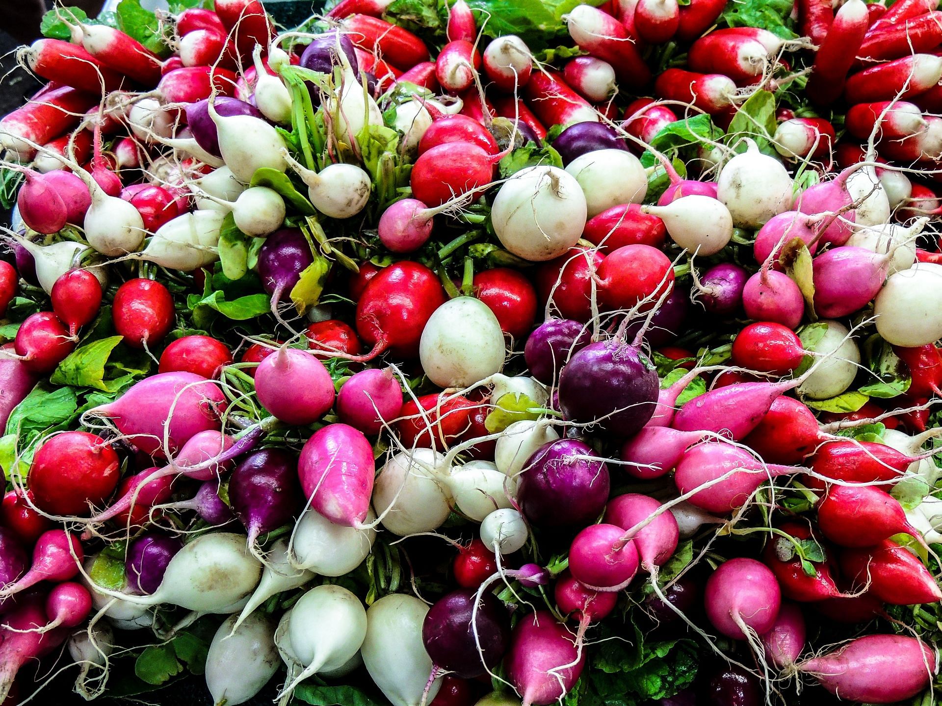 Turnip is a cruciferous root vegetable that has been around since the age of the dinosaurs (Image from Unsplash @philippe collard)