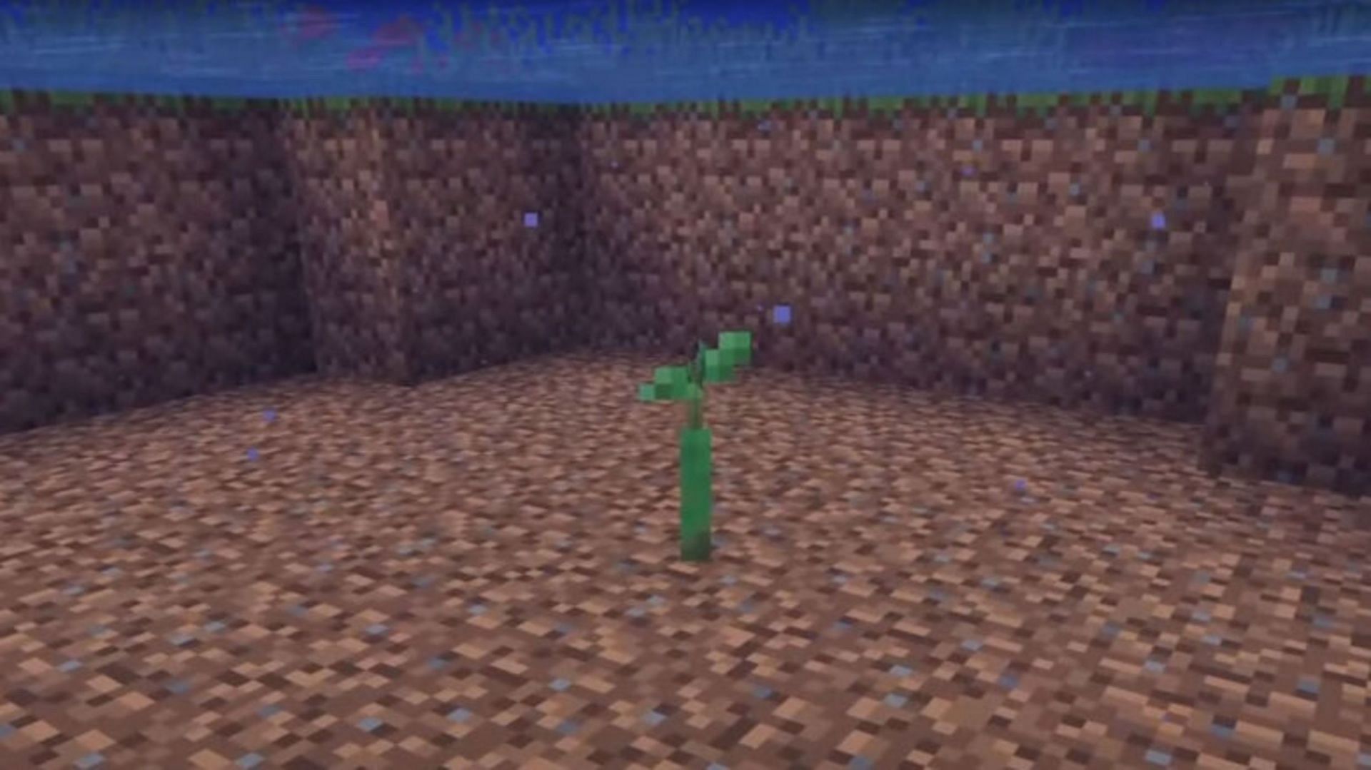 Mangroves already grow well, but they can be helped along (Image via Mojang)