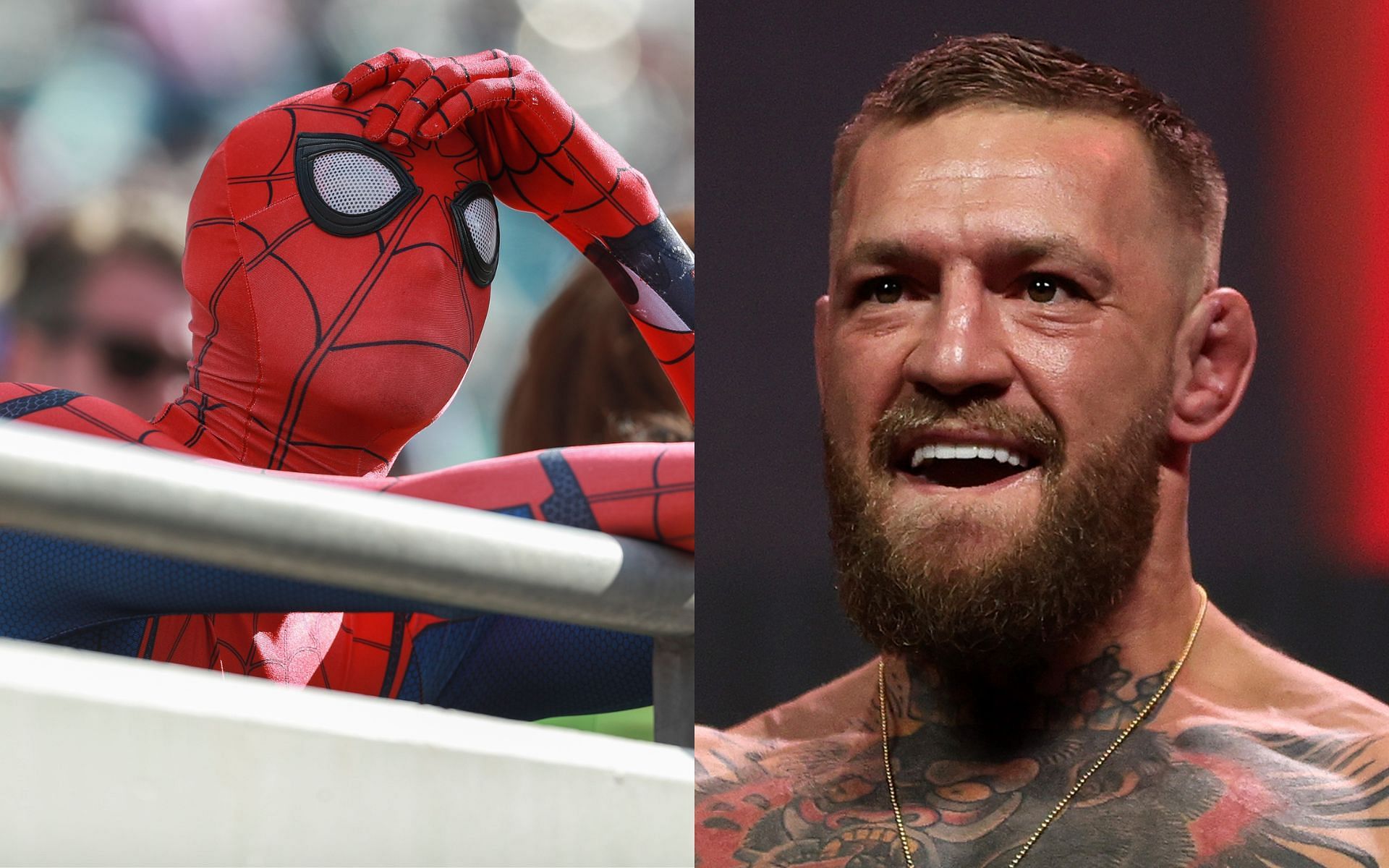 An individual sporting a Spider-Man costume (left, image for representation purpose only); Conor McGregor (right)