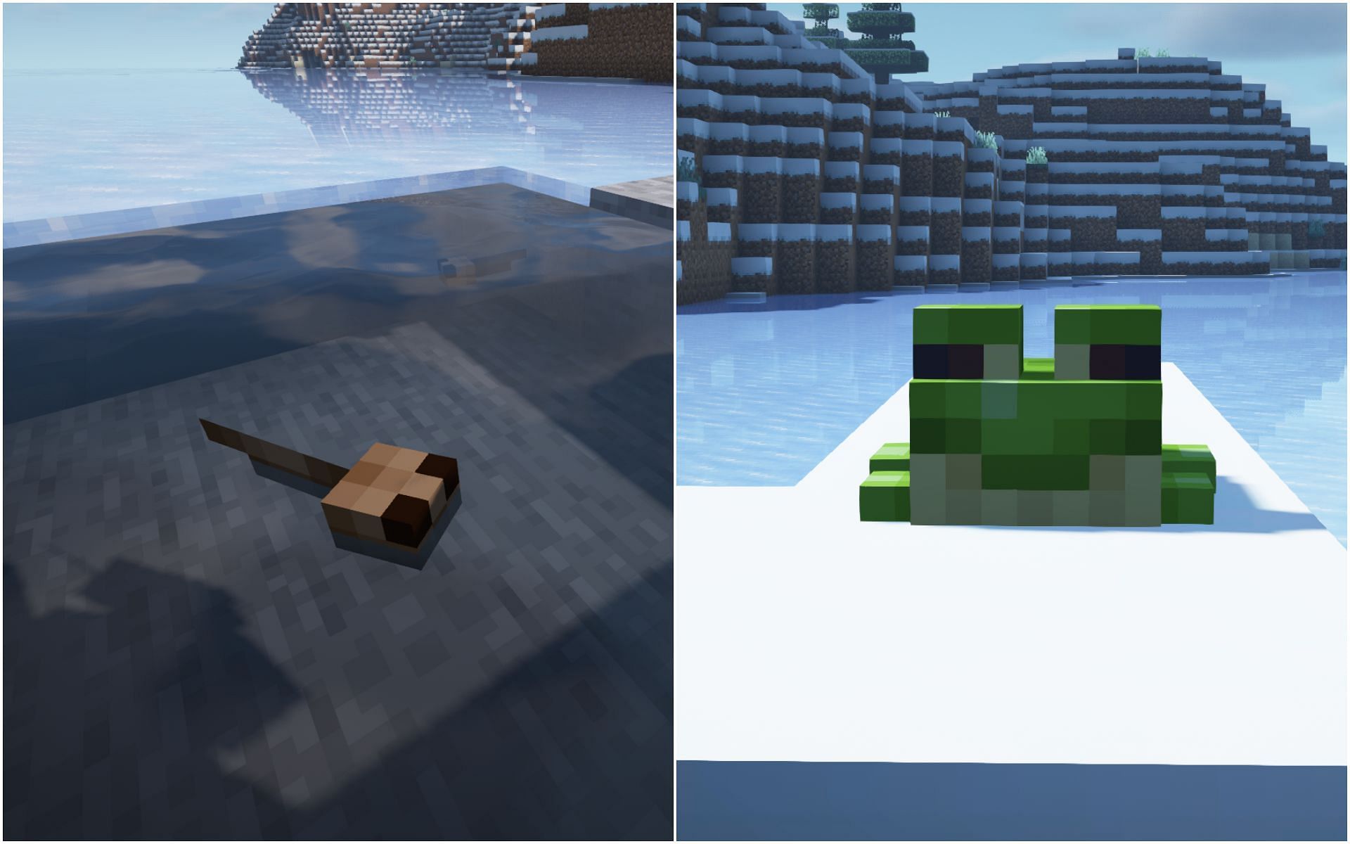 Green variants can only spawn when Tadpoles are grown in a cold biome (Image via Mojang)
