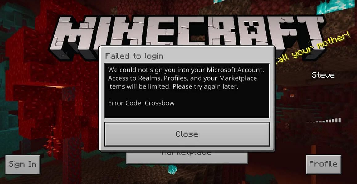 The game has issues sometimes (Image via Mojang)