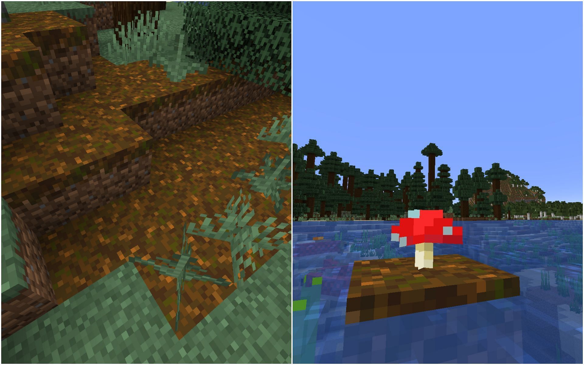 One of the major uses is to grow mushrooms without light level restrictions (Image via Minecraft 1.19)