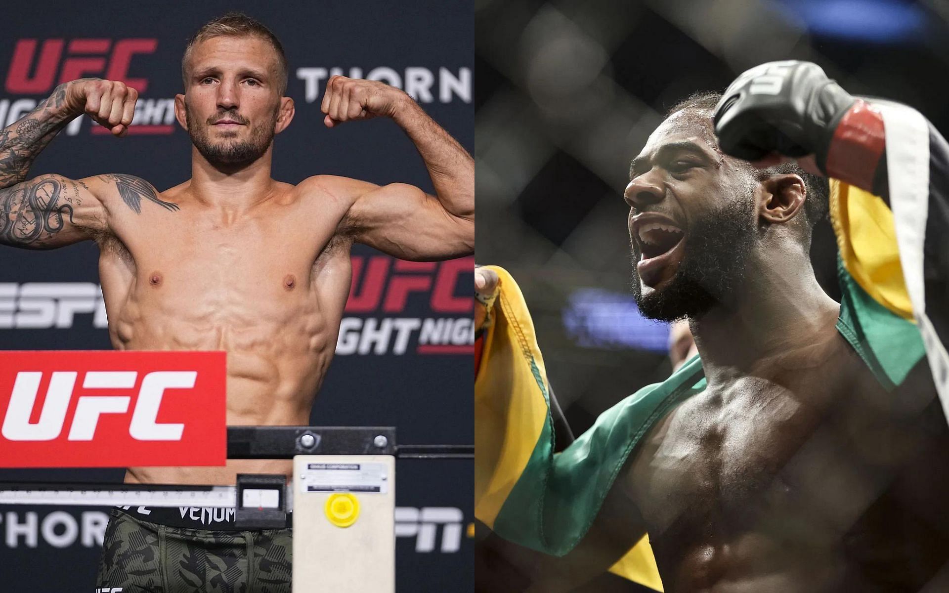 T.J. Dillashaw (left) and Aljamain Sterling (right) [Images courtesy of Getty]