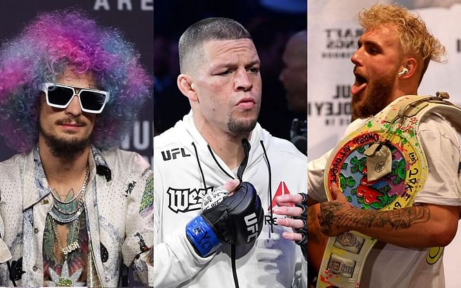 "If he loses, where do you go from there?" - Sean O'Malley explains why he's rooting for Jake Paul in possible fight against Nate Diaz