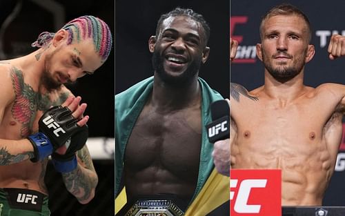 Sean O'Malley (left), Aljamain Sterling (middle) and T.J. Dillashaw (right)