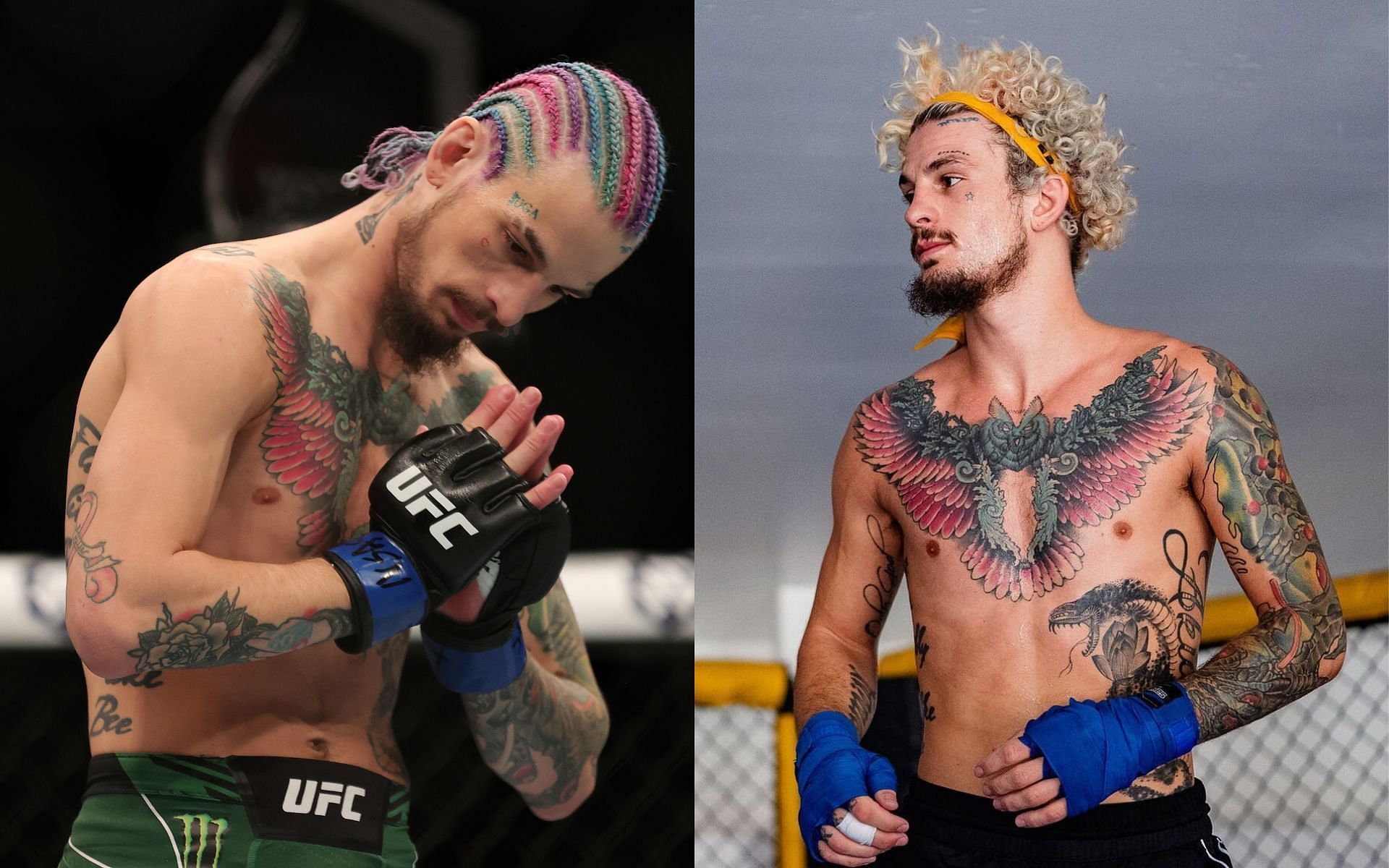 Sean O&#039;Malley (left and right, images courtesy of Getty and @sugaseanmma Instagram)