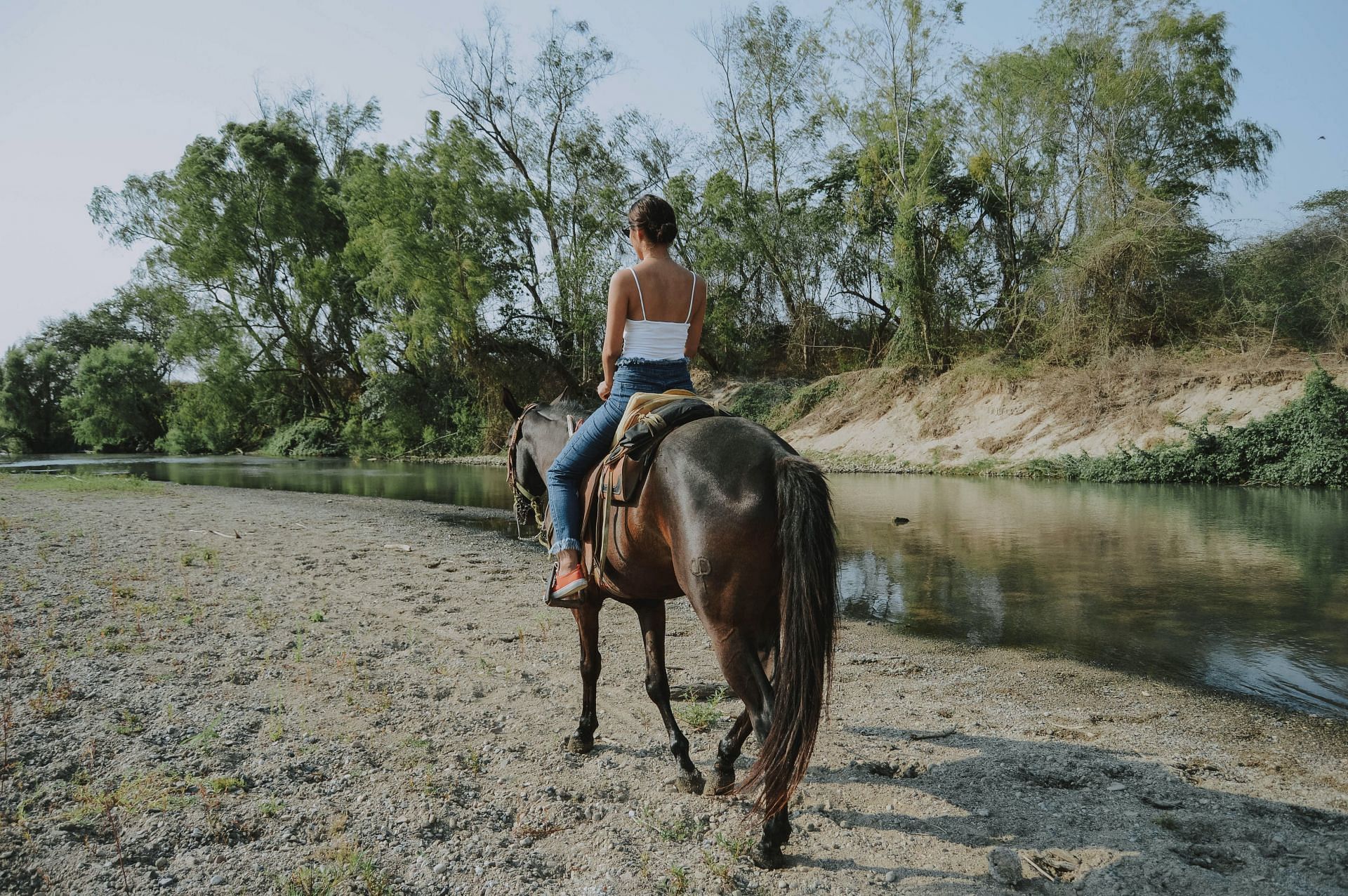 Horseback riding: an excellent calorie burner activity (Pic from Pexels @Bianca)