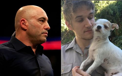 Joe Rogan (left), Bo Burnham (right) [Images courtesy of @boburnham and @joerogan on Instagram]