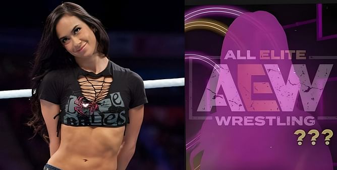 Former AEW Women's World Champion expresses desire to face AJ Lee in a dream match