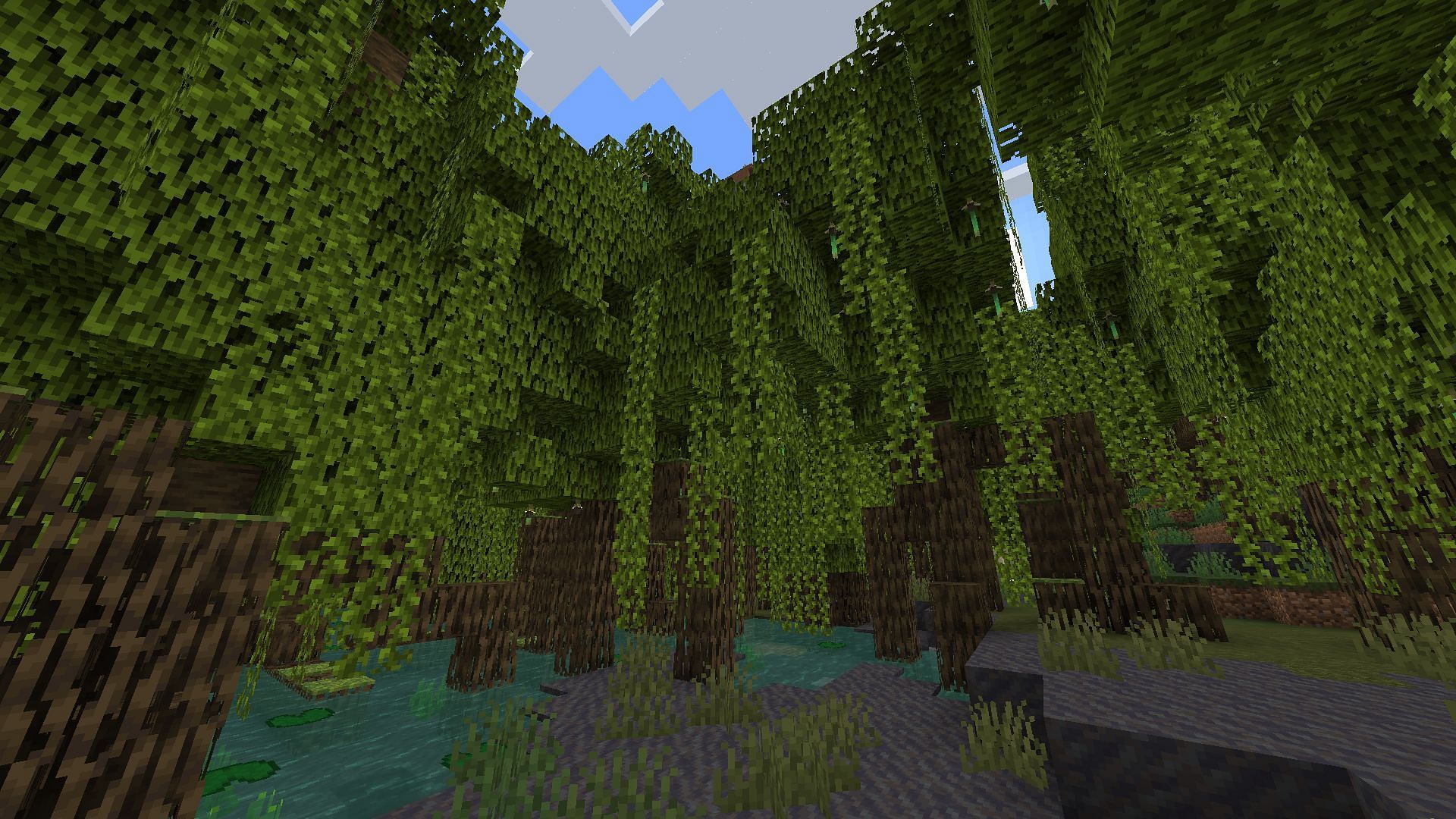 Mangrove Swamps are filled with mangrove trees and mud blocks (Image via Minecraft 1.19)