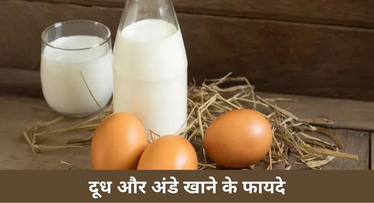 दूध और अंडे खाने के फायदे -   ( फोटो - Sportskeeda Hindi )