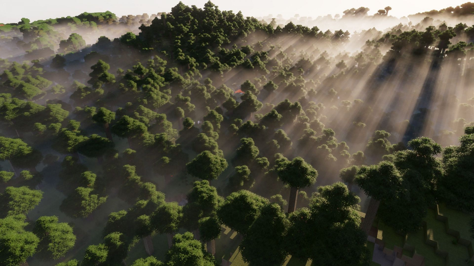 Forests can look ultra-realistic in Minecraft (Image via Continuum Graphics)