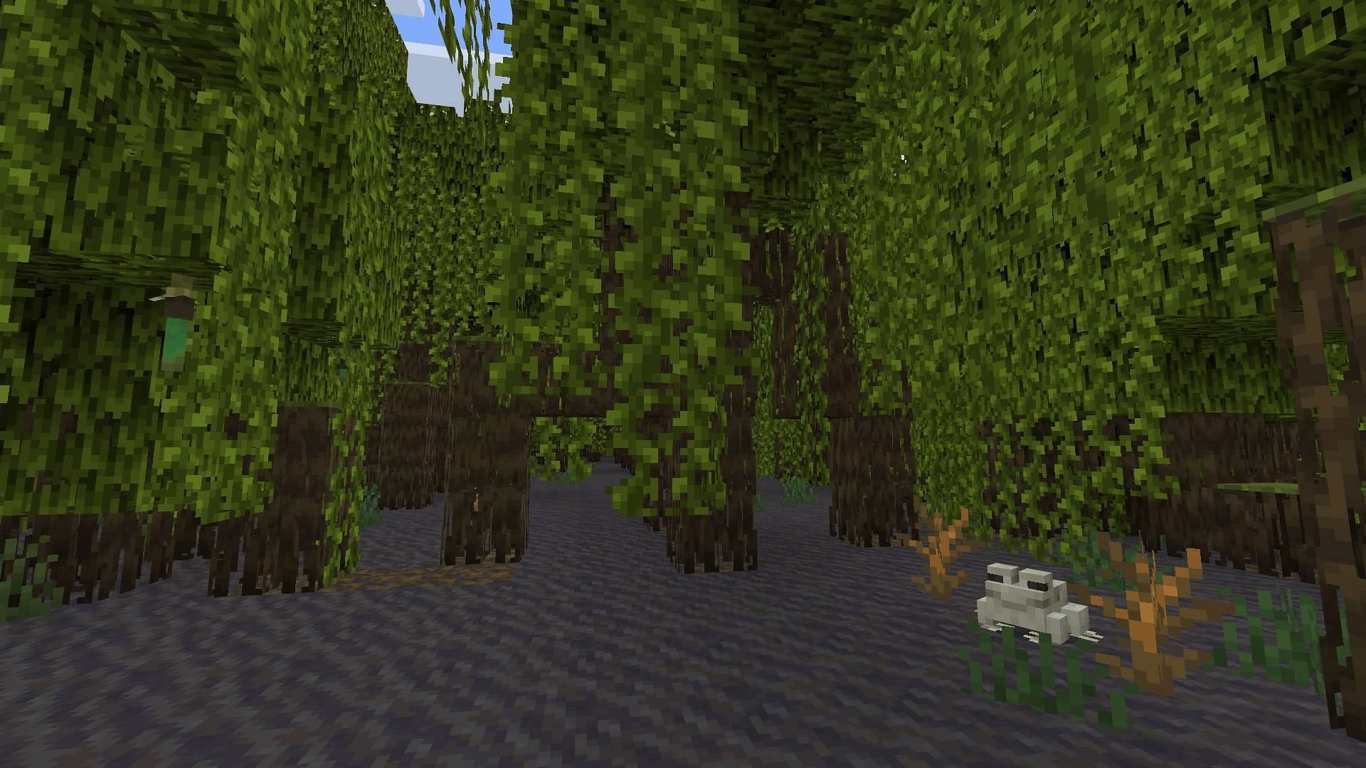 A mangrove swamp in Minecraft 1.19 (Image via Mojang)