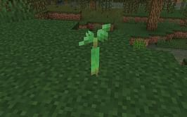 How to plant Mangrove trees in Minecraft 1.19
