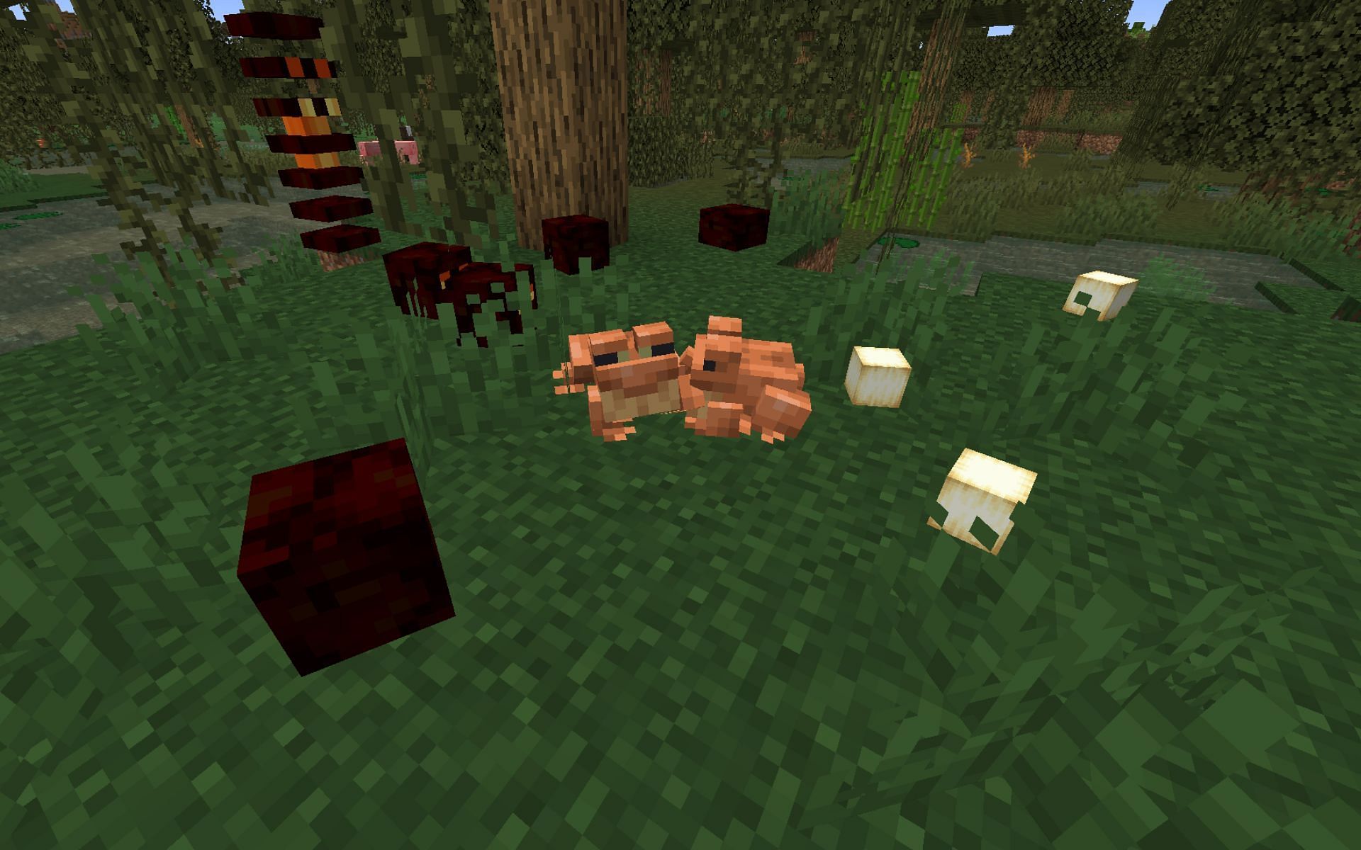 Frogs near small magma cubes (Image via Minecraft 1.19)