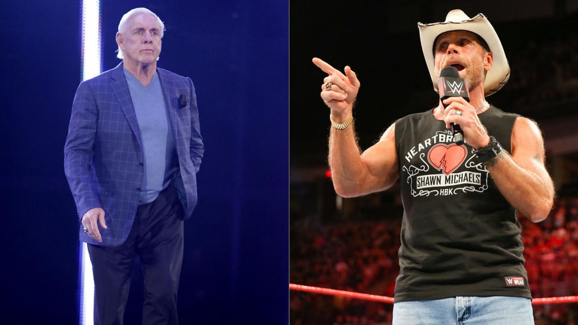 Ric Flair (left); Shawn Michaels (right)