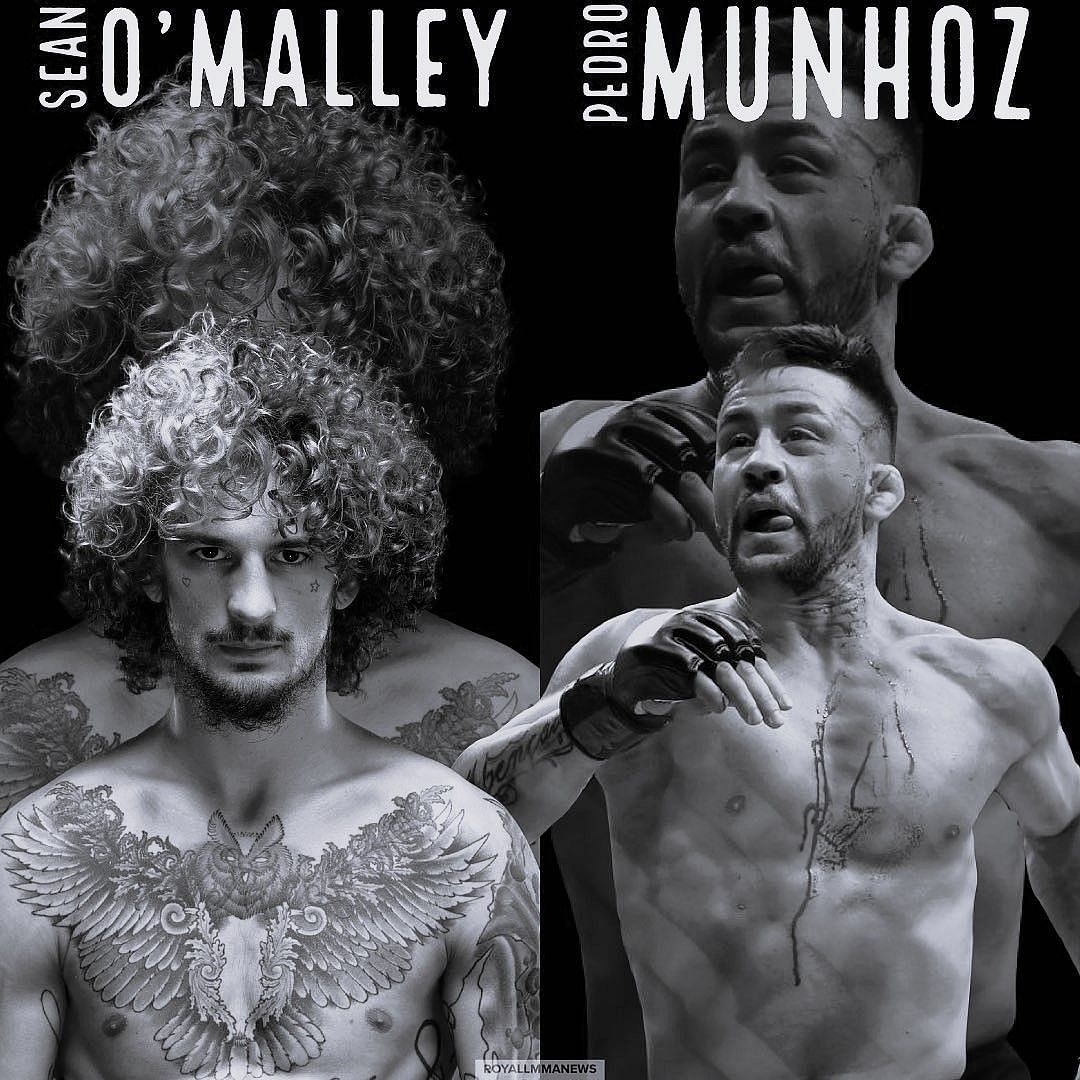Munhoz vs. O&#039;Malley fan-made poster [Image via @sugaseanmma on Instagram]