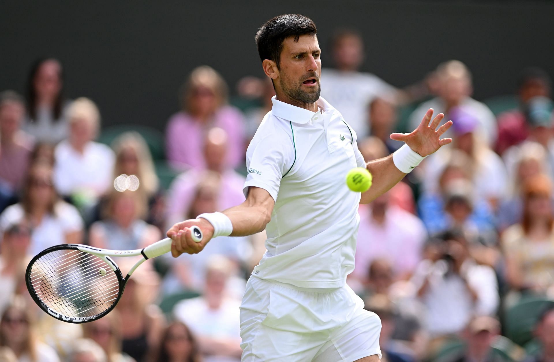Novak Djokovic at the 2022 Wimbledon.