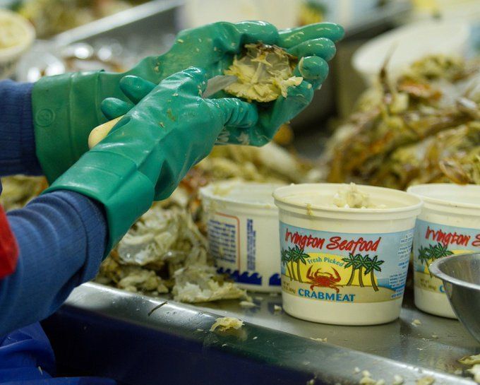 Crab Meat Recall 2022 Brand, list of products explored amid Listeria fears