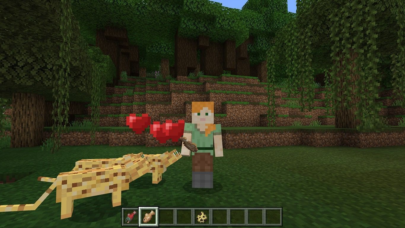 How to tame an ocelot in the Minecraft 1.19 update