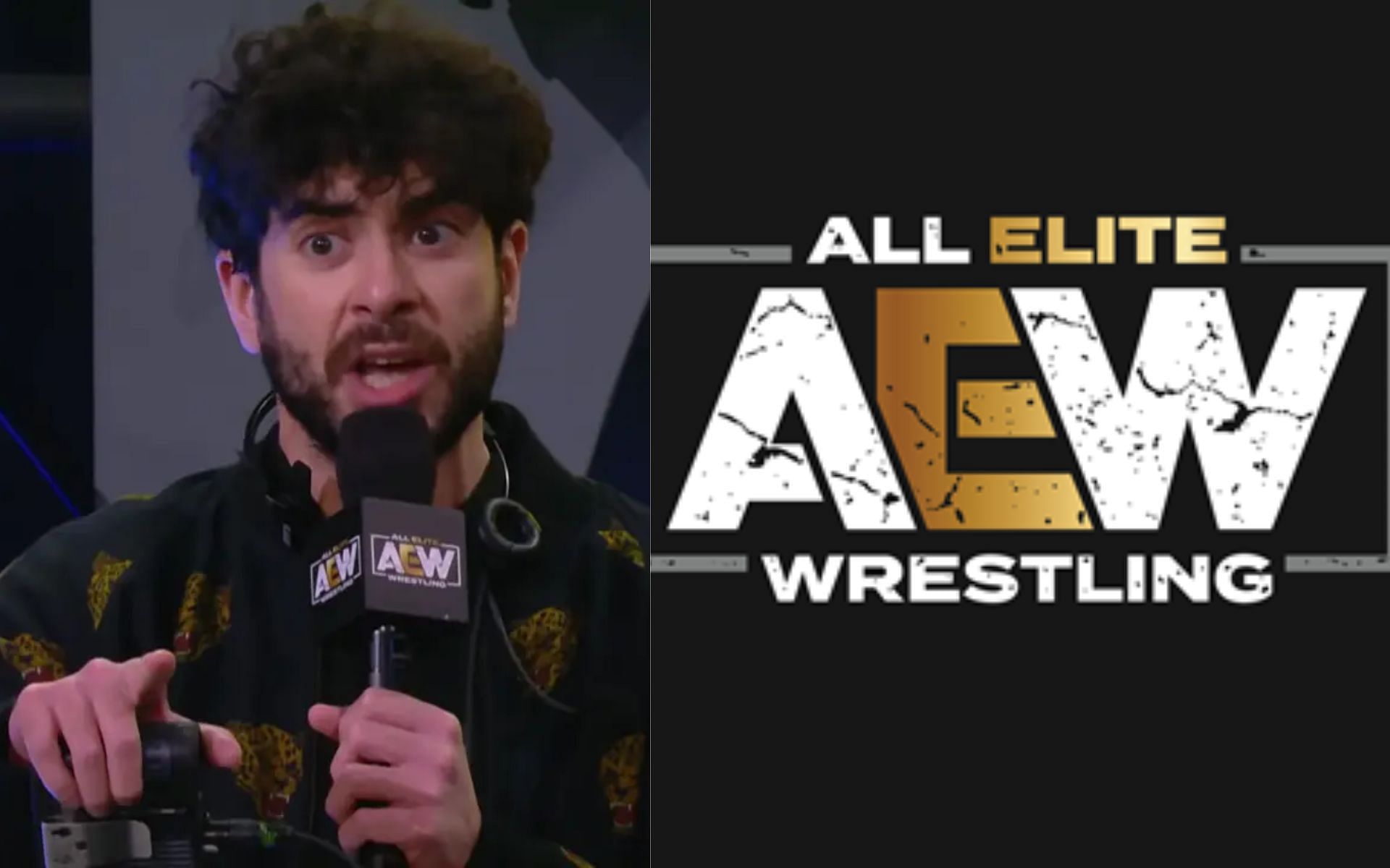 Former AEW star comments on her exit talks with Tony Khan